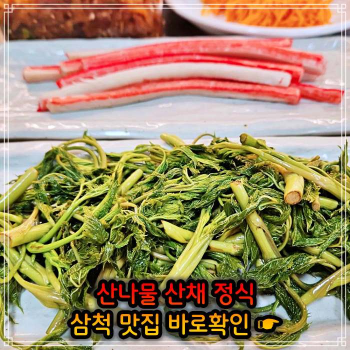 생방송투데이 강원 삼척 산나물 청국장 산채 나물 백반 정식 맛집