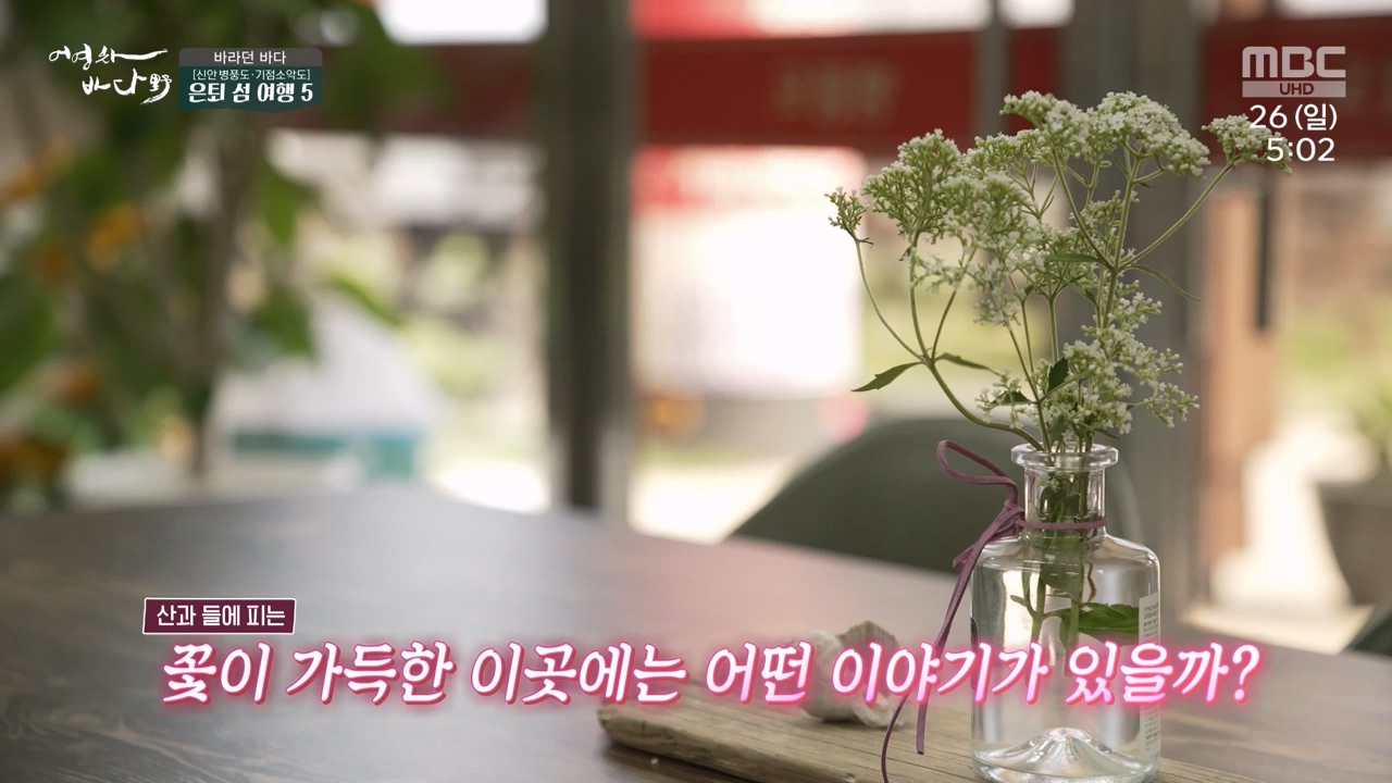 MBC 네트워크 특선 푸른백세 어영차 바다야.E1650.231127p-NEXT.mp4_20231202_171527.363.jpg