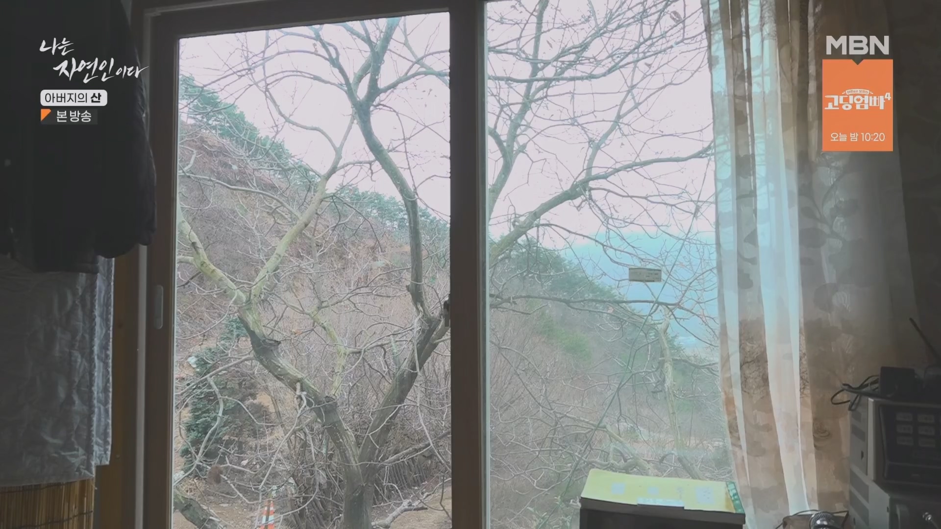 나는 자연인이다.E595.240228p.H264-F1RST.mp4_20240229_200114.242.jpg