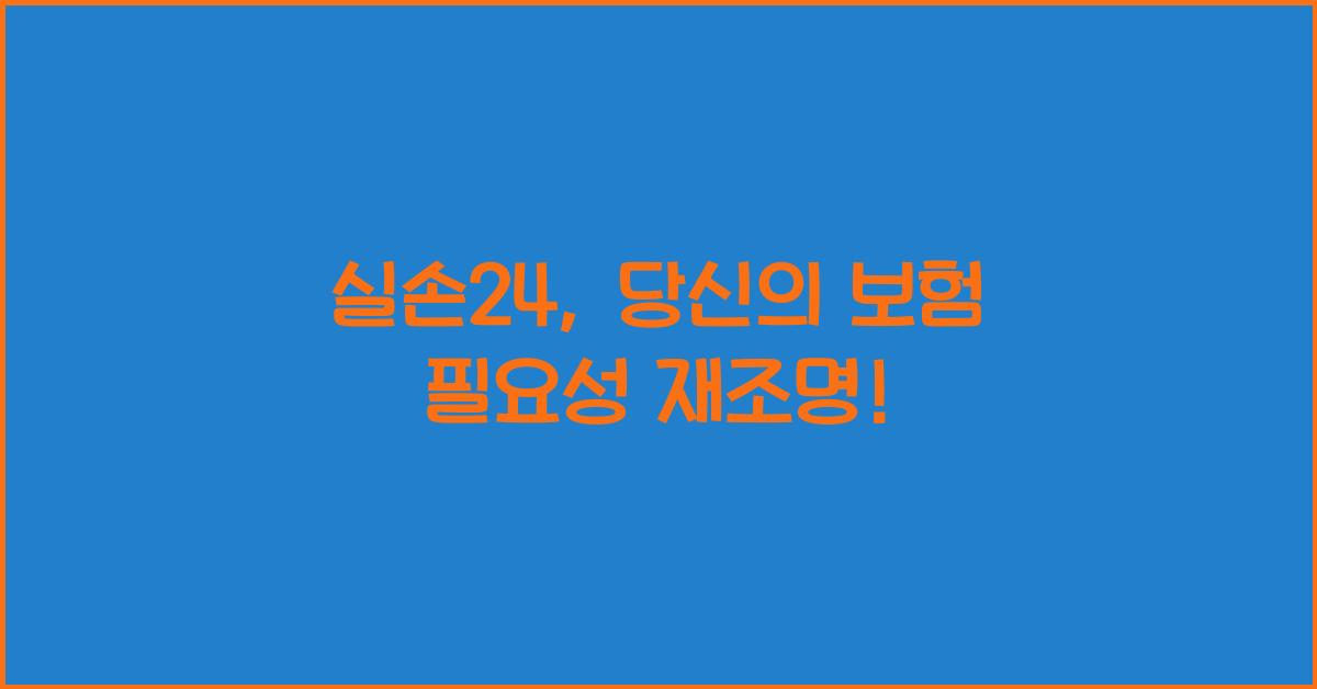 실손24