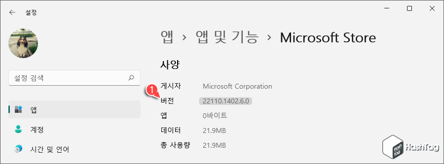 Microsoft Store Version