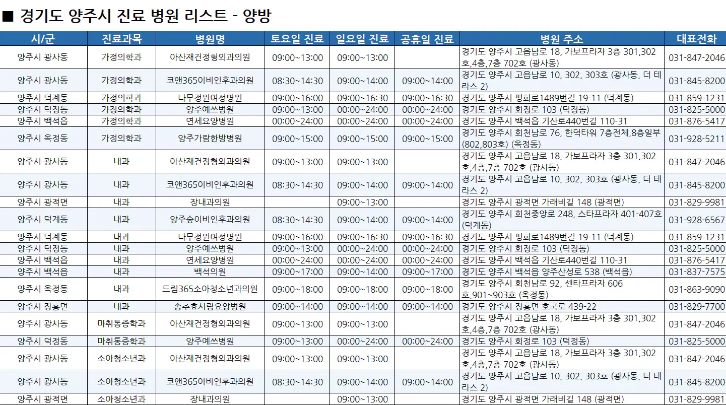 양주시-일요일-진료병원-리스트-예시