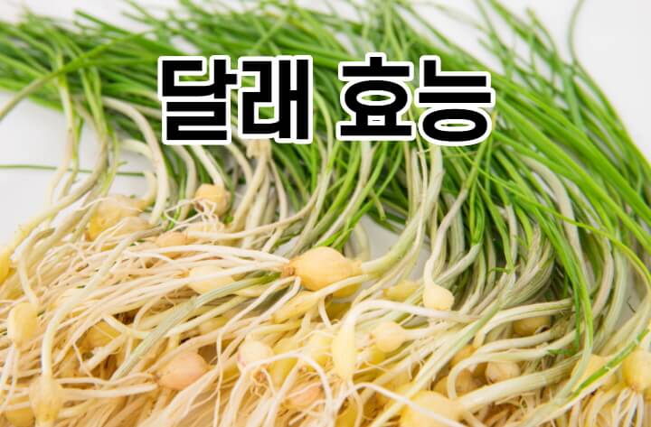 봄에 먹기 좋은 달래의 효능은?