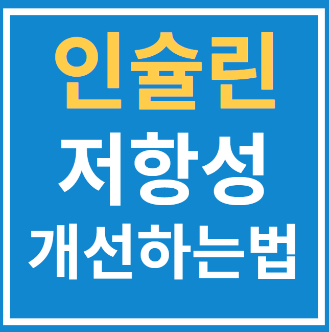  인슐린 저항성을 개선하는 식이요법