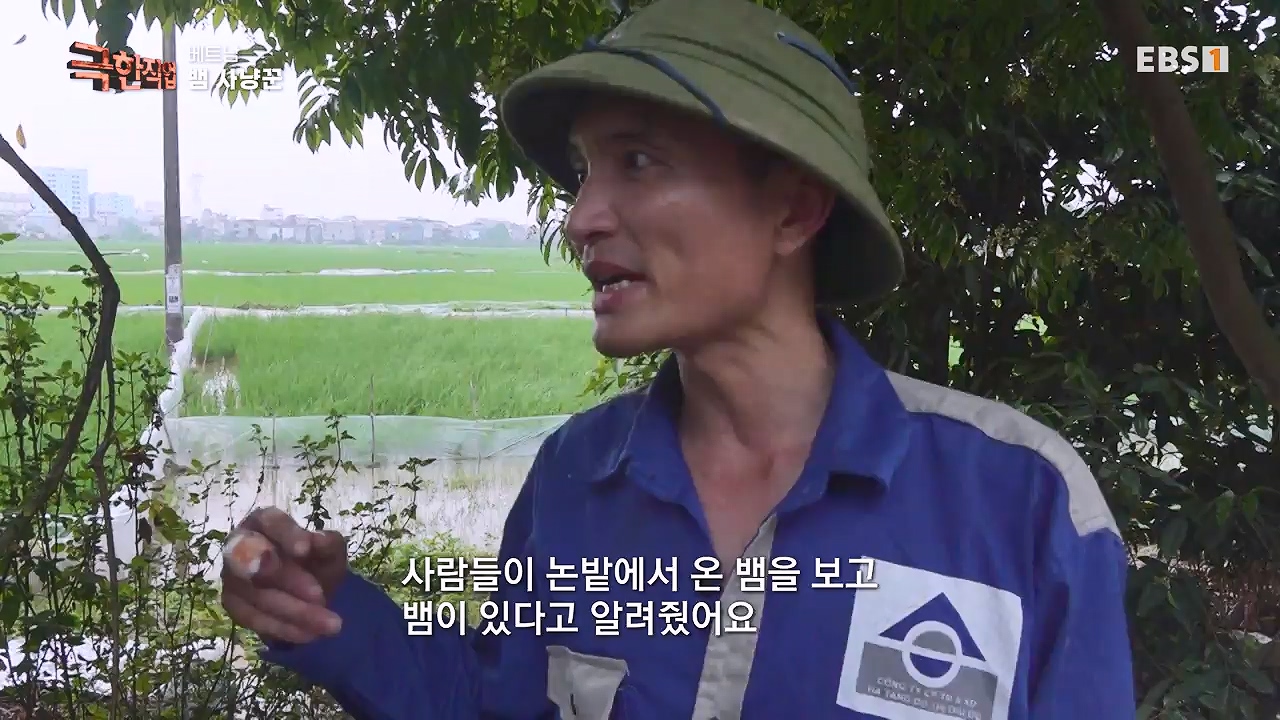 TV - 전 국민의 평생학교 EBS베트남 뱀 마을 사람들.mp4_20240615_170522.314.jpg