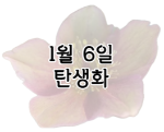 이 이미지를 클릭 하시면 1월 6일 탄생화에 관련 된 포스팅으로 이동됩니다.