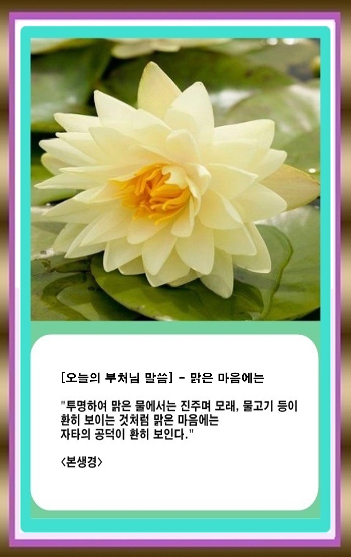 (오늘의 부처님 말씀) - 맑은 마음으로 3