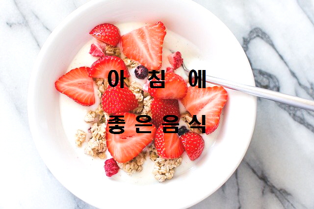  노다지네 잡학다식