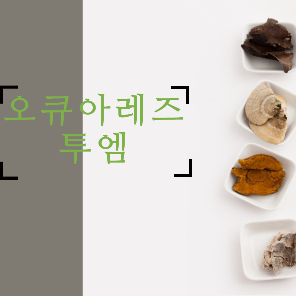 오큐아레즈투엠