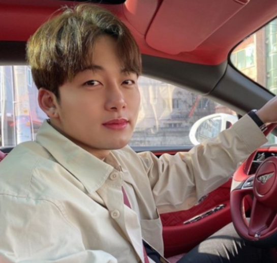 피나치공 이미지