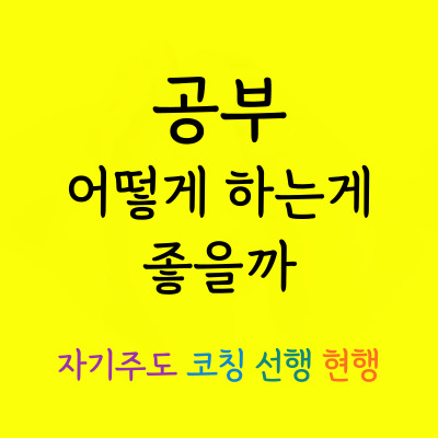  태장동 국어과외 우산동 과학과외 중학생 고등학생 중등고등 코칭 사회 영어 수학 일대일 과외