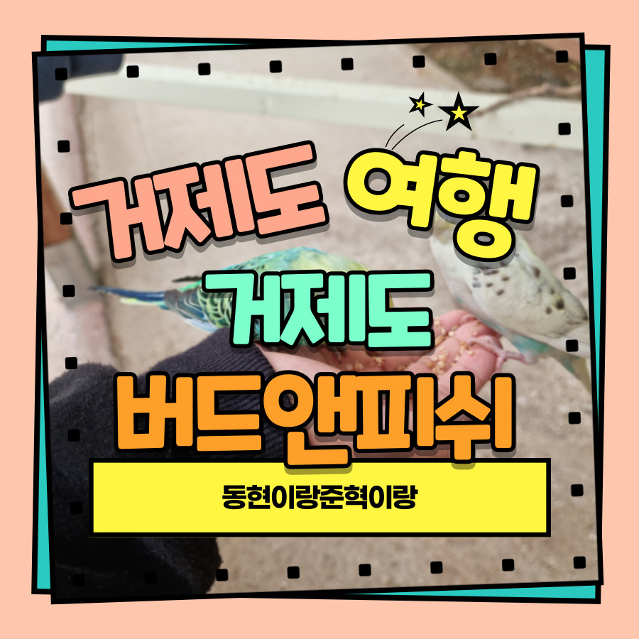 거제버드앤피쉬