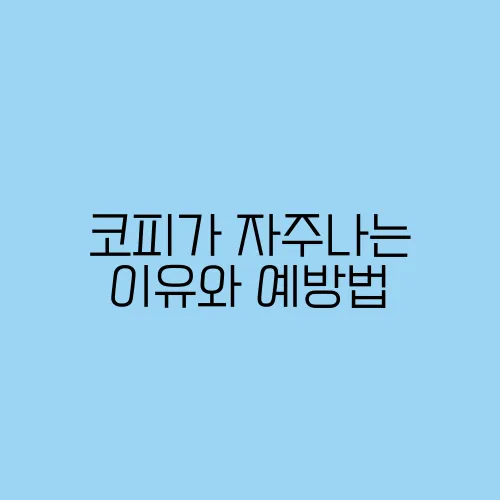 코피가 자주나는 이유와 예방법