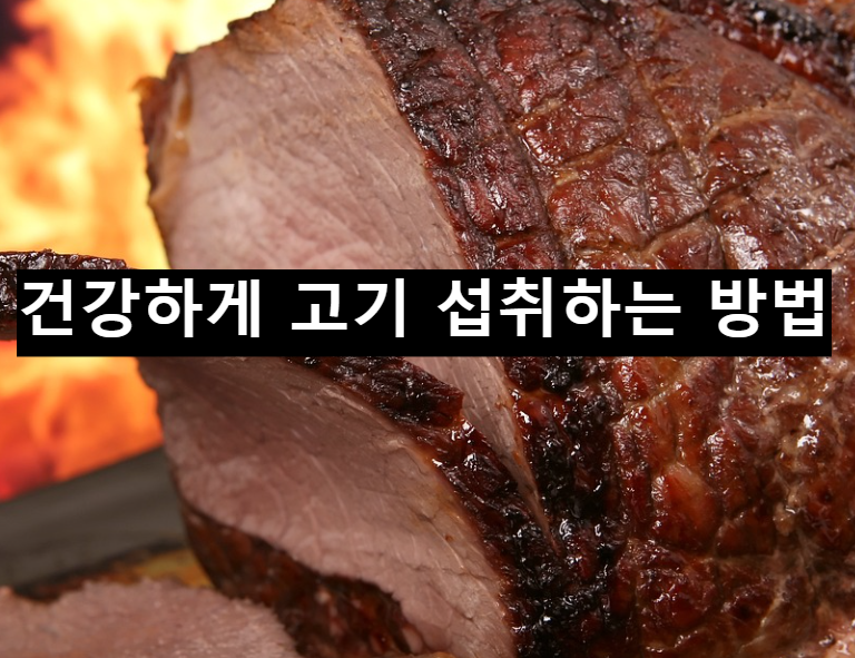  건강하게 고기 섭취하는 방법