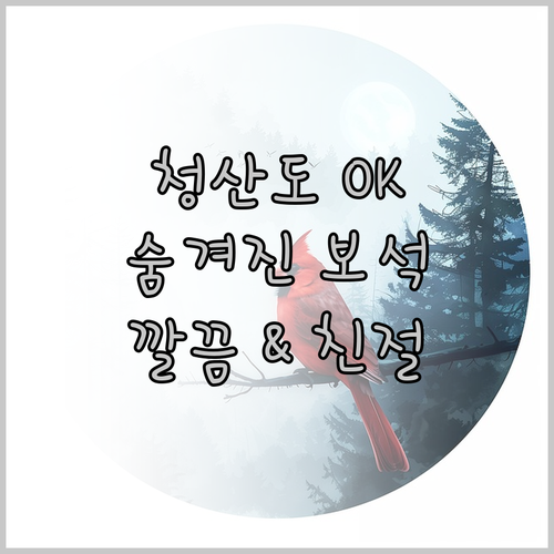청산도의 숨겨진 보석 OK 펜션, 청