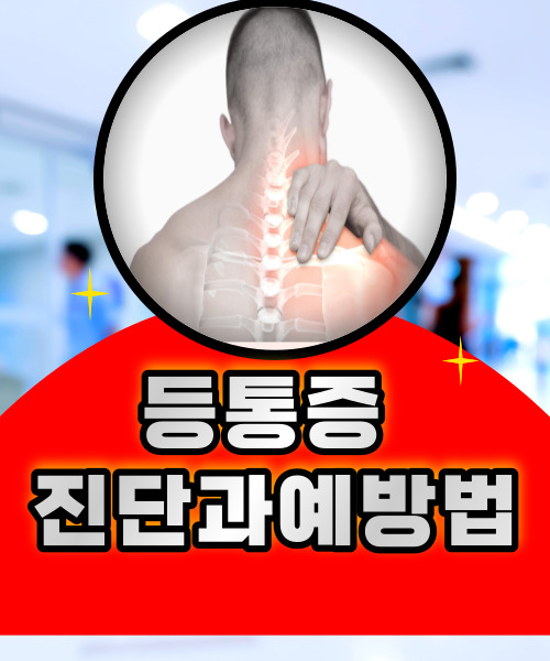  등통증 부위별로 발생하는 질병과 예방법