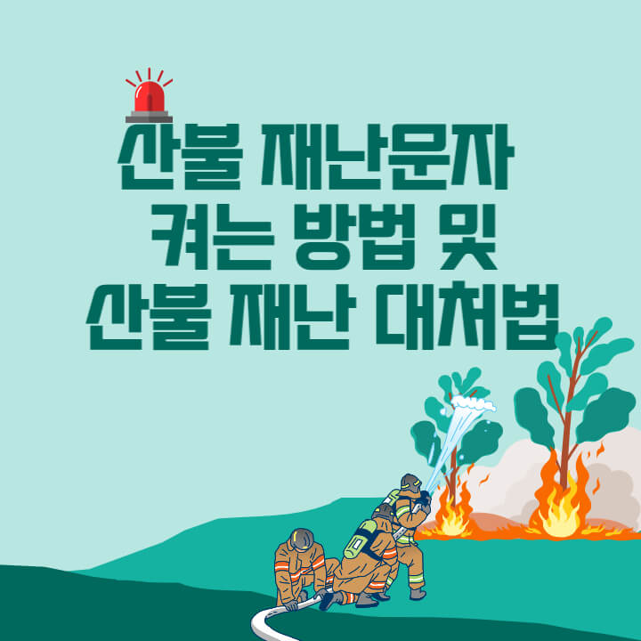 산불 재난문자 켜는 방법 및 산불 재난 대처법이라고 적혀있는 이미지