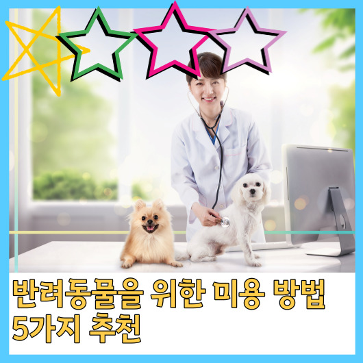  반려동물을 위한 미용 방법 5가지 추천