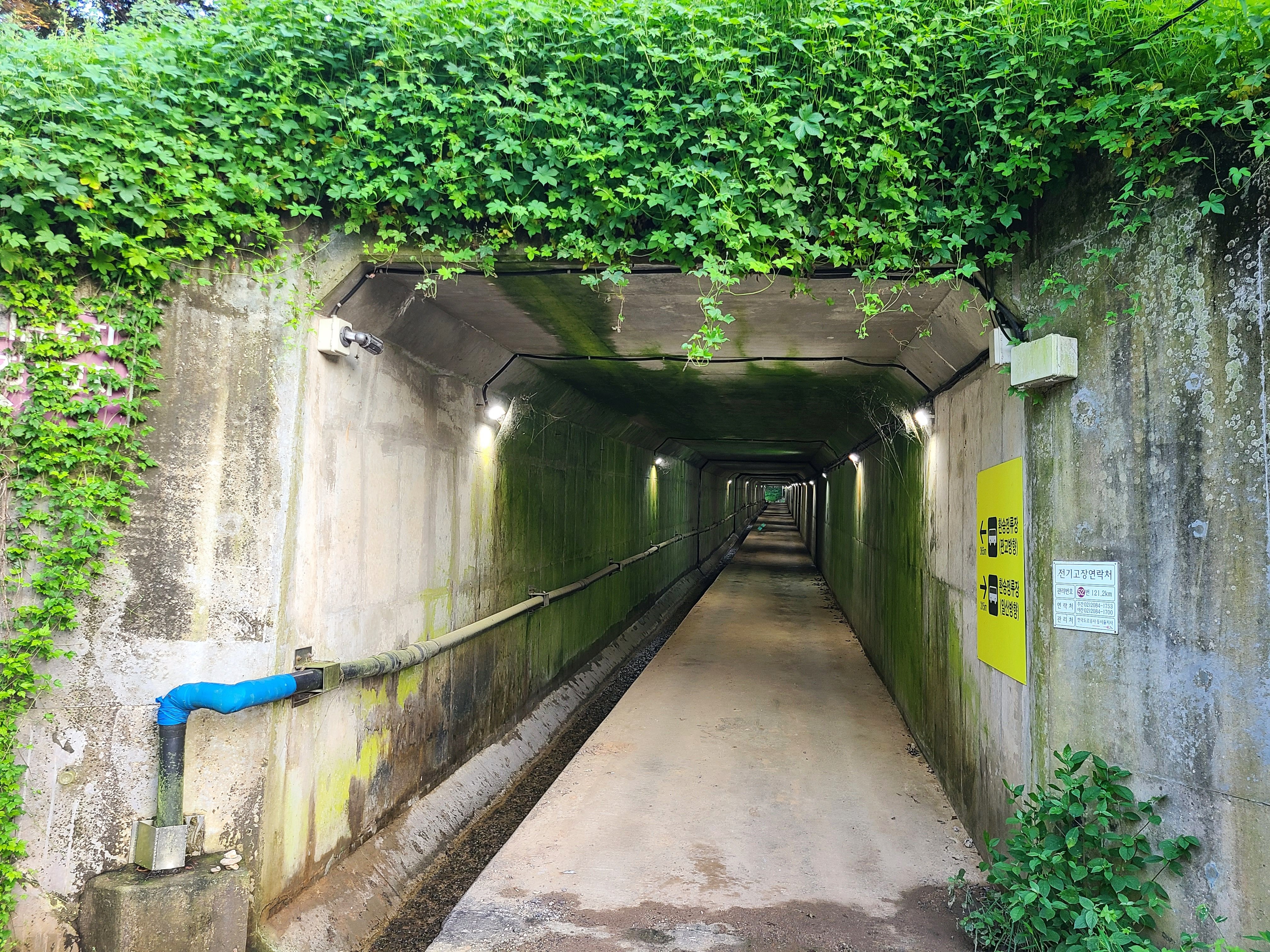 청계요금소 고속도로 환승정류장 가는 작은 터널