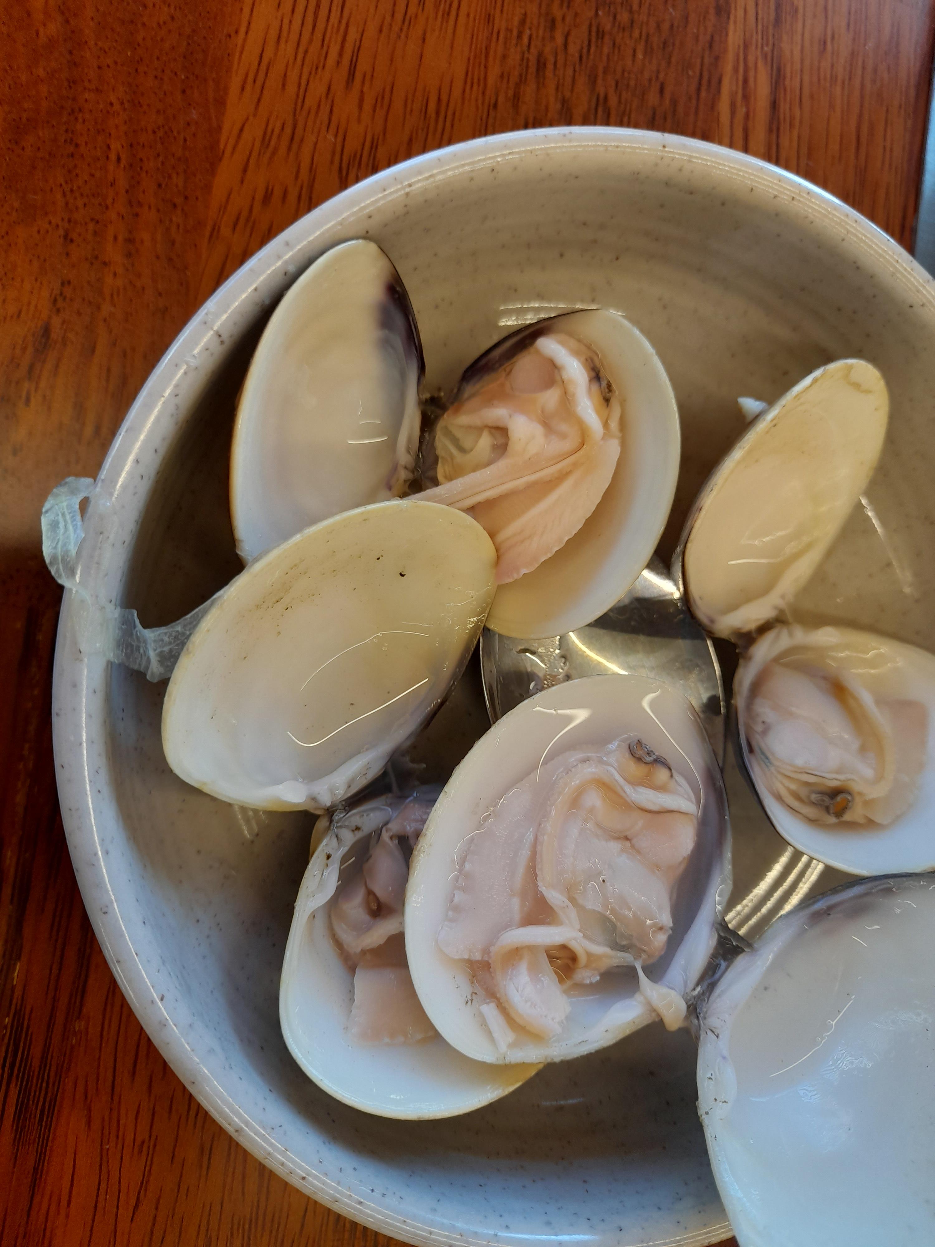 백합 이미지