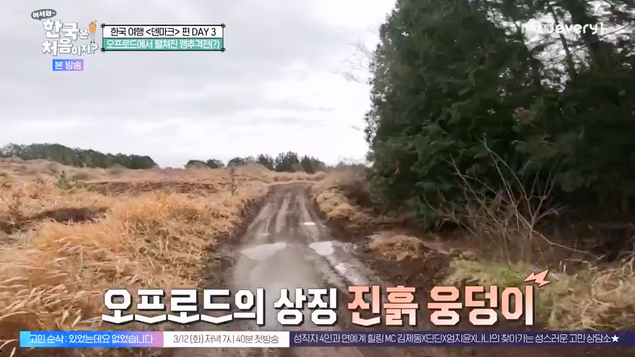 어서와 한국은 처음이지 시즌2.E304.240230p-NEXT.mp4_20240301_172034.582.jpg