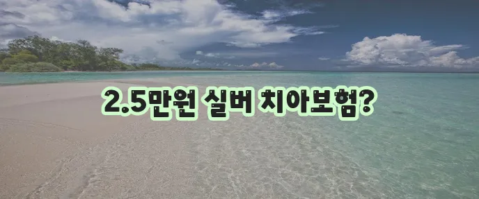 라이나 실버전용 치아보험, 월 2만 5천 원부터 가입 가능