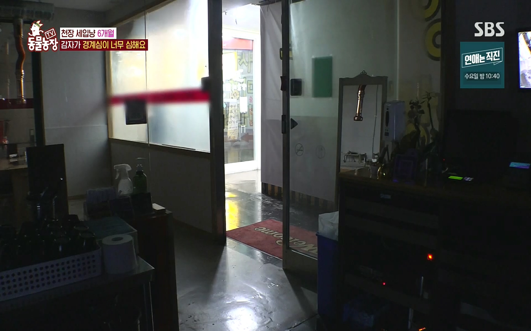 TV 동물농장.E1081.220807p.H264-F1RST.mp4_20220807_213622.086.jpg