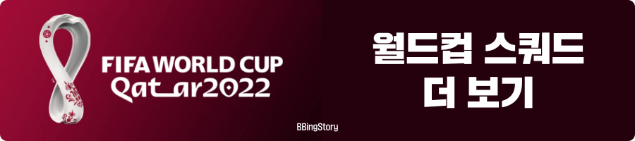 2022_qatar_world_cup