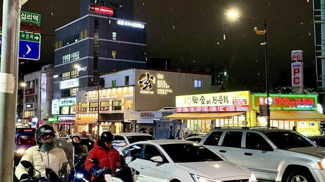 백송이 이미지