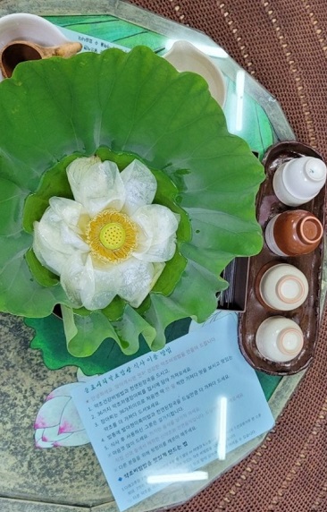 연꽃차