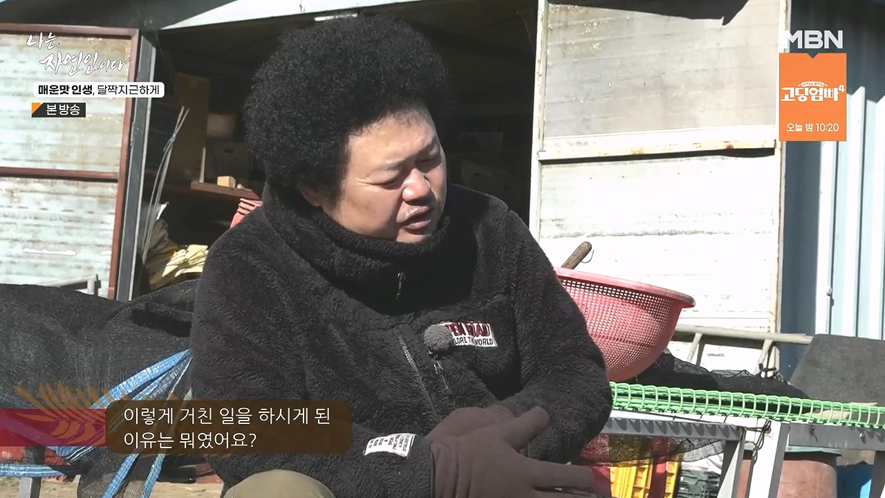 나는 자연인이다.E585.231221p-NEXT.mp4_20231221_200830.521.jpg