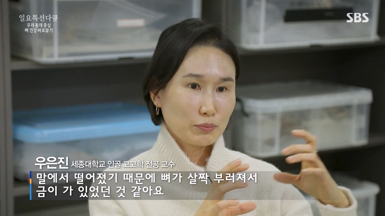일요특선 다큐멘터리.E339.240205p-NEXT.mp4_20240206_205054.004.jpg