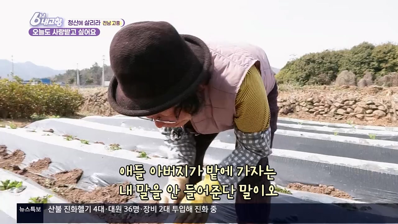 6시 내고향.E7756.230331p.H264-F1RST.mp4_20230331_212227.109.jpg