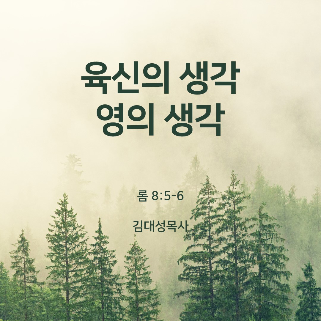 주일설교  하늘꿈교회 김대성목사 - 육신의 생각 영의 생각(롬 8:5-6)