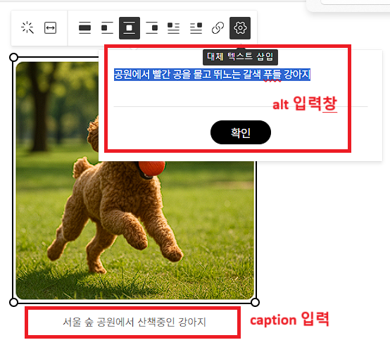 티스토리 편집기 alt, caption 태그 입력방법