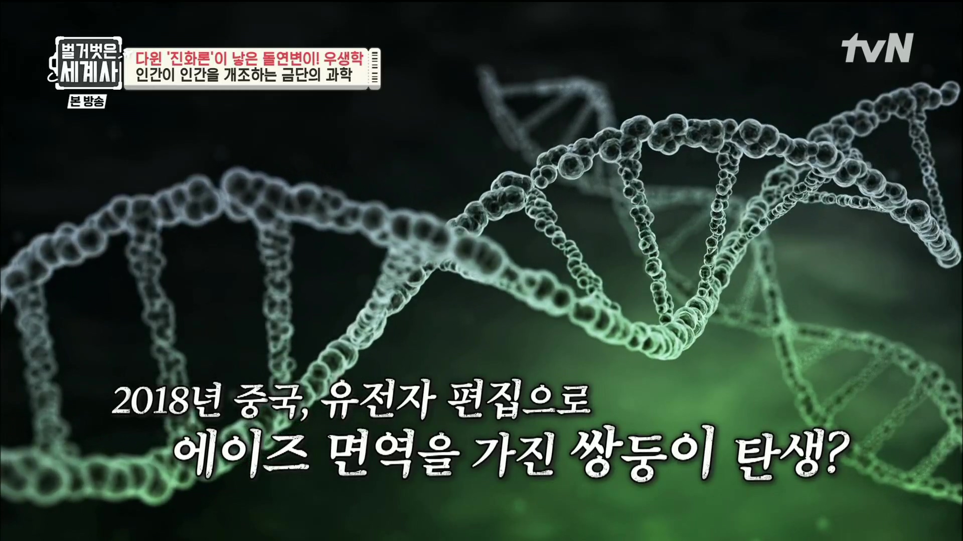 벌거벗은 세계사.E97.230502p.H264-F1RST.mp4_20231224_162025.668.jpg