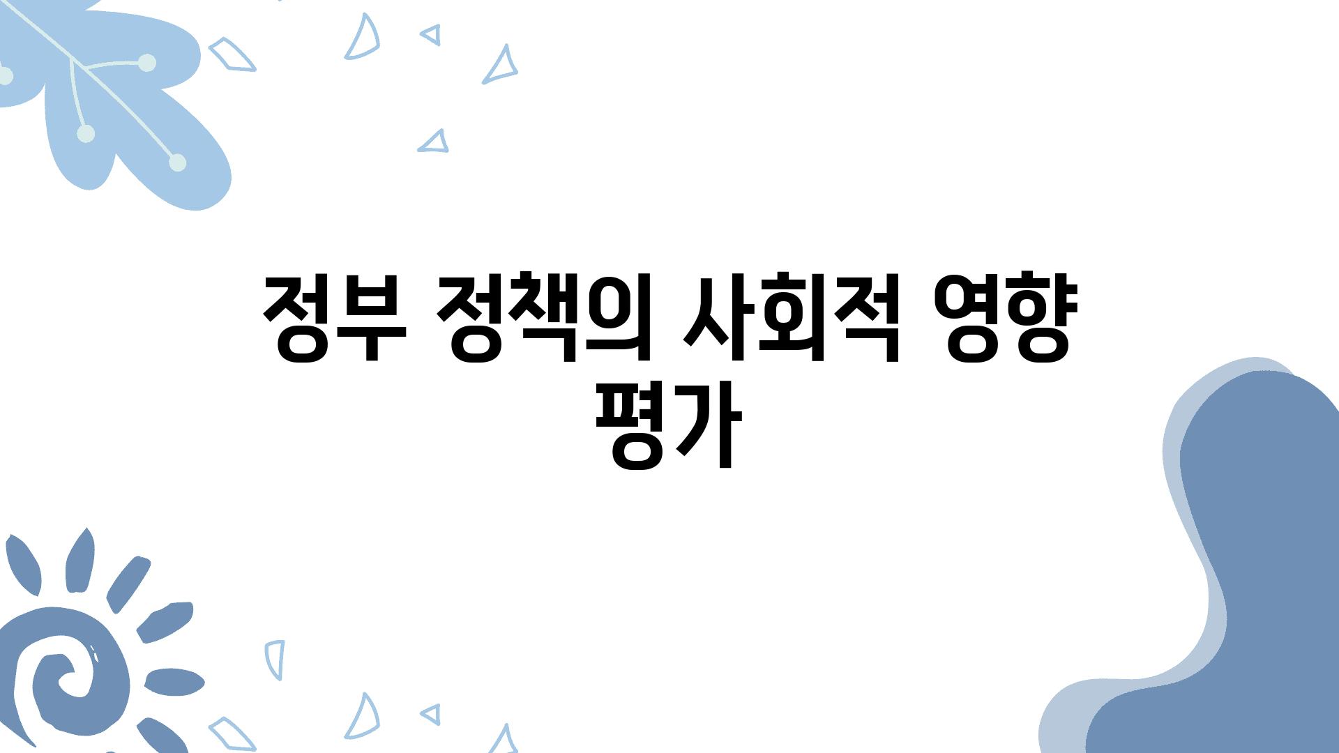 정부 정책의 사회적 영향 평가