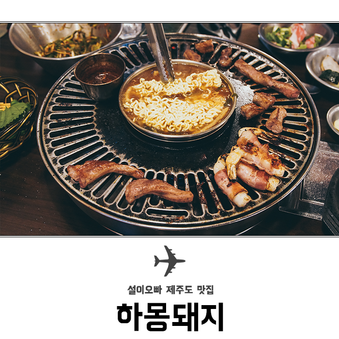 하몽돼지 이미지