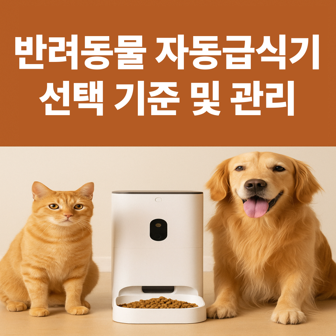 반려동물 자동급식기 선택 기준 및 관리