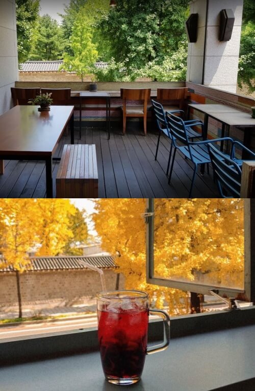 프로젝트-온더로드의-테라스-사진과-창문에서-바라보는-티와-은행나무-사진