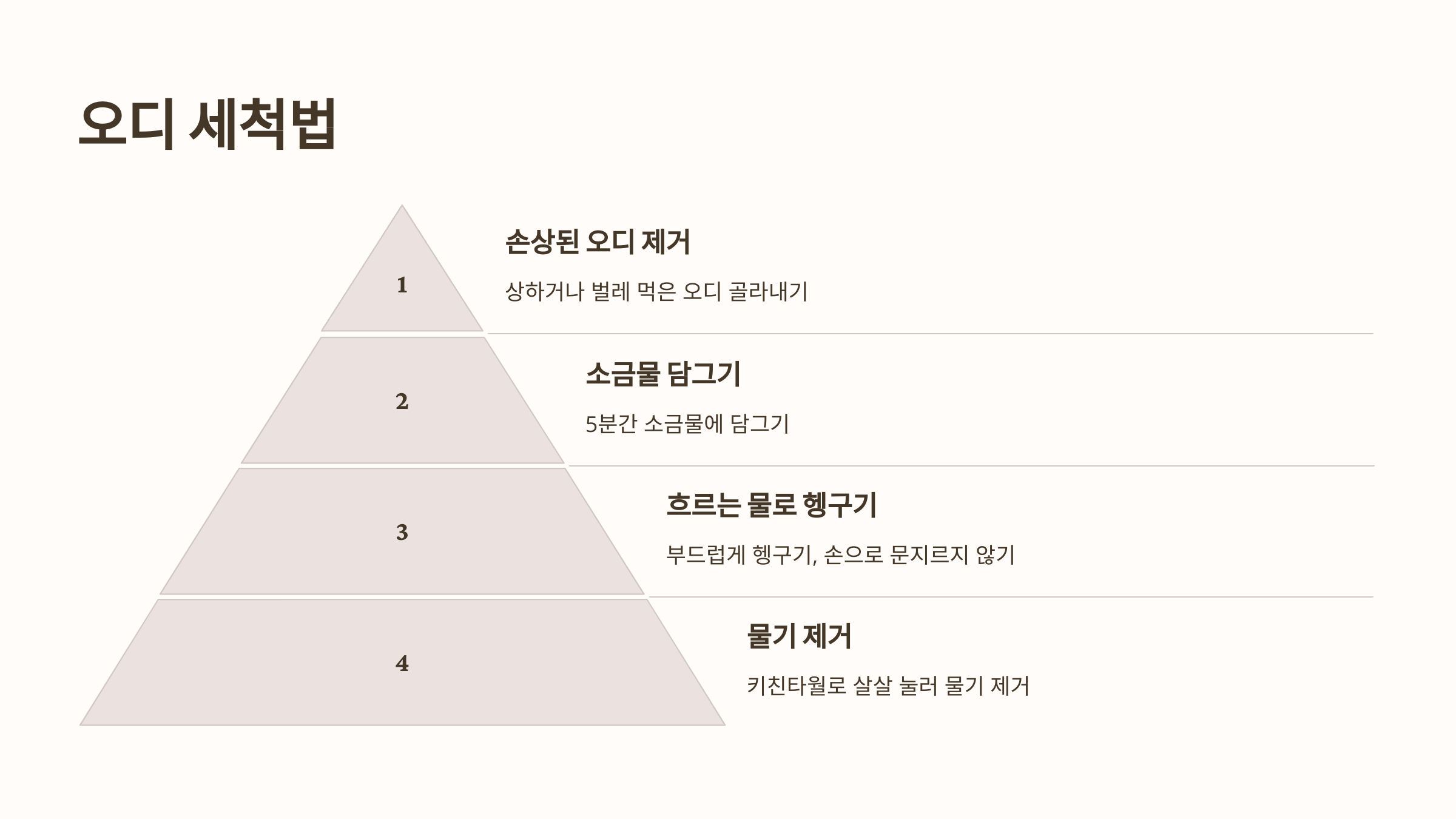 오디 사진입니다.