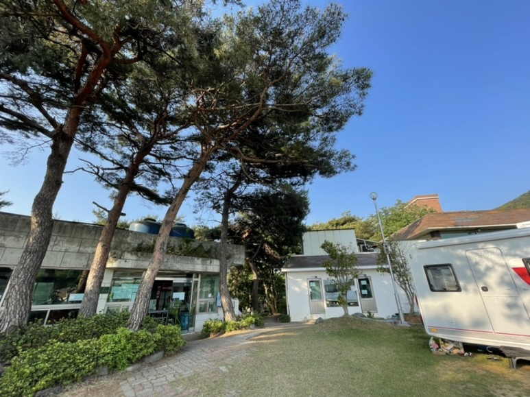 [트립] 대천오토캠핑장_캠핑 후기! #캠핑 #캠핑장 #대천캠핑 17