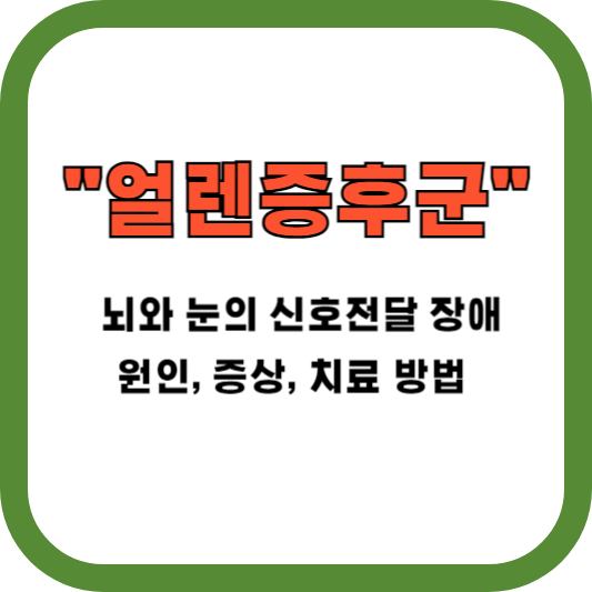 얼렌증후군&#44; 뇌와 눈의 신호전달 장애&#44; 원인&#44; 증상&#44; 치료 방법 알아보기