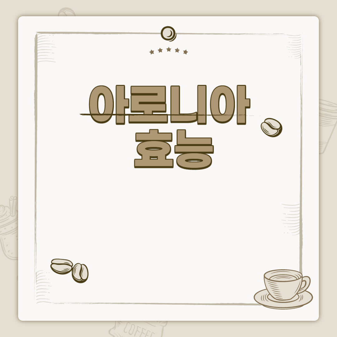  아로니아 효능