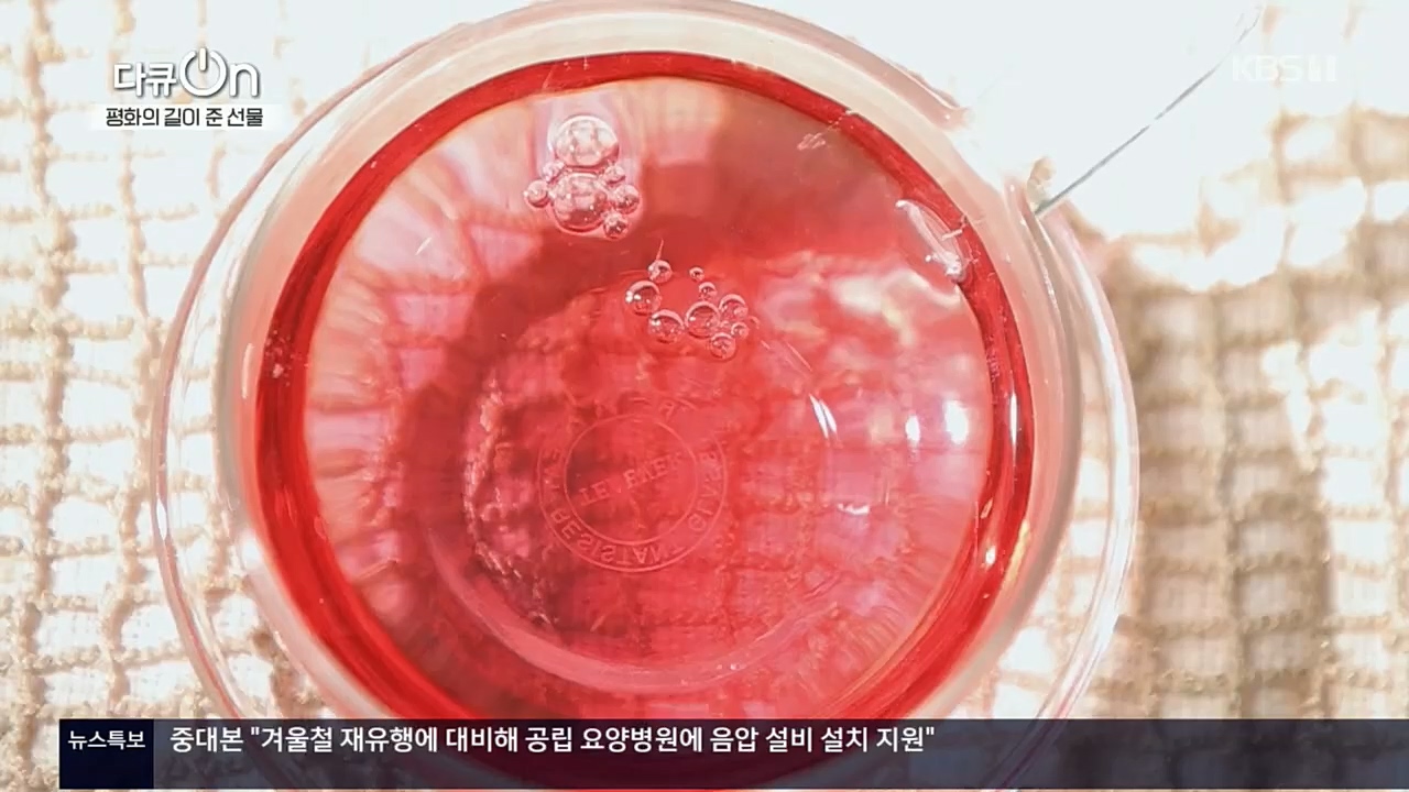 다큐 On.E172.221119p.H264-

F1RST.mp4_20221122_201822.928.jpg