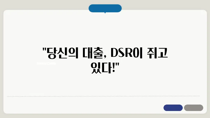 DSR의 계산법 및 적용