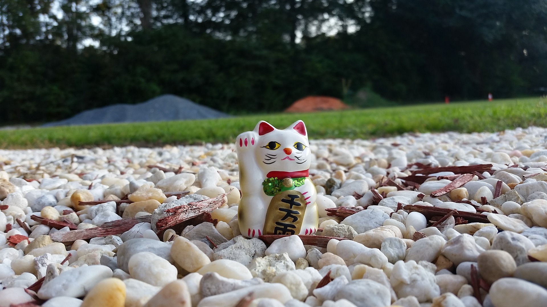  오늘의 띠 별 무료 운명 운세 2020년 10월 8일 목요일