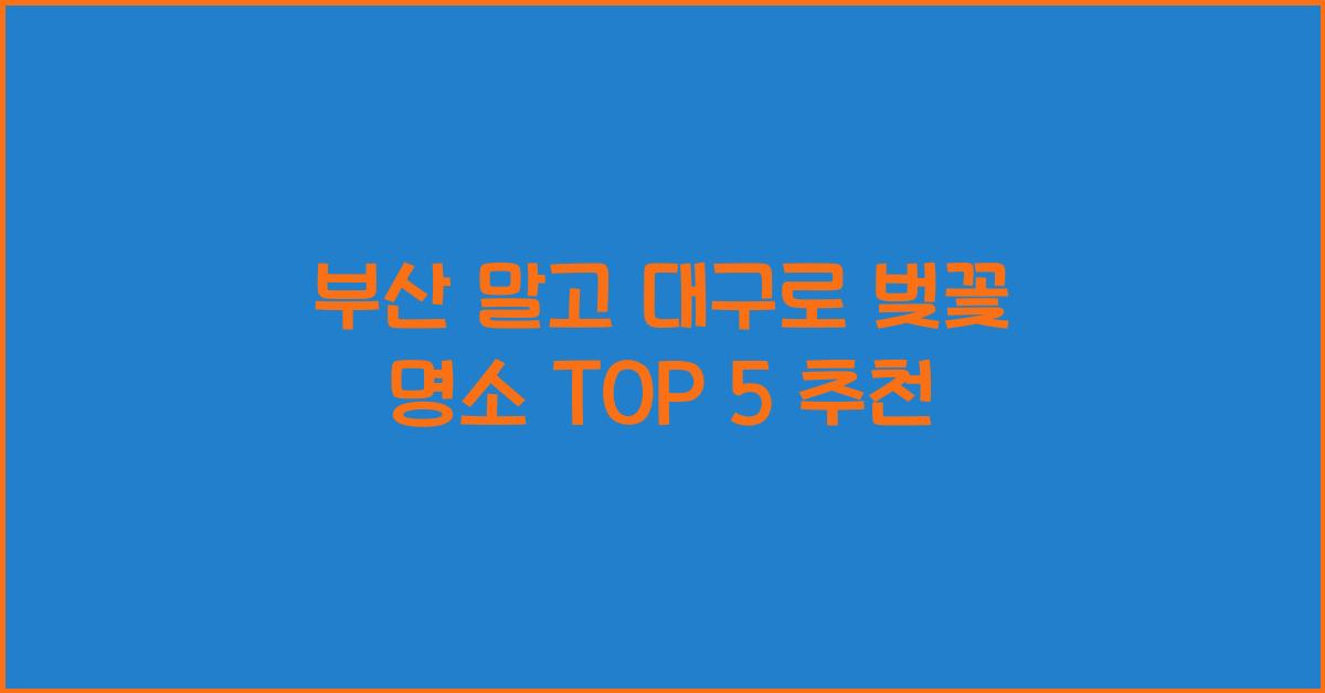 부산 말고 대구로! 벚꽃 명소의 재조명