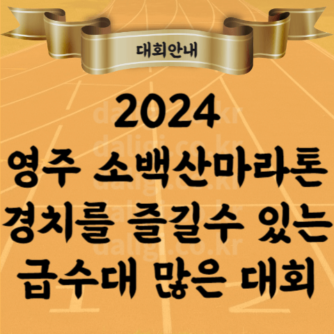 2024 영주 소백산 마라톤 대회 코스 단체전 참가비 기념품 총 정리