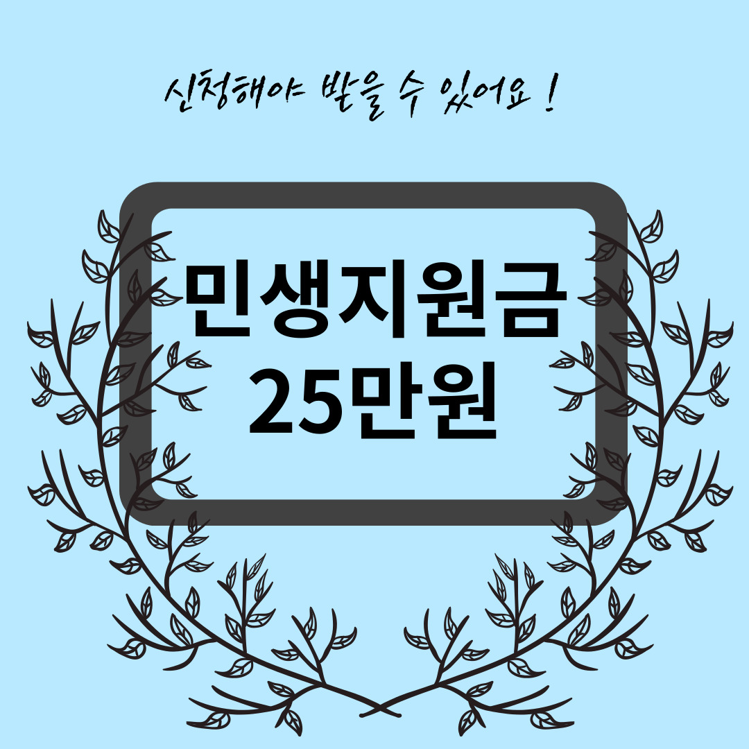민생지원금 25만원